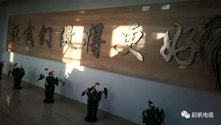 第六届金山区区长质量奖公布，沙龙会sa36电缆周供华榜上有名